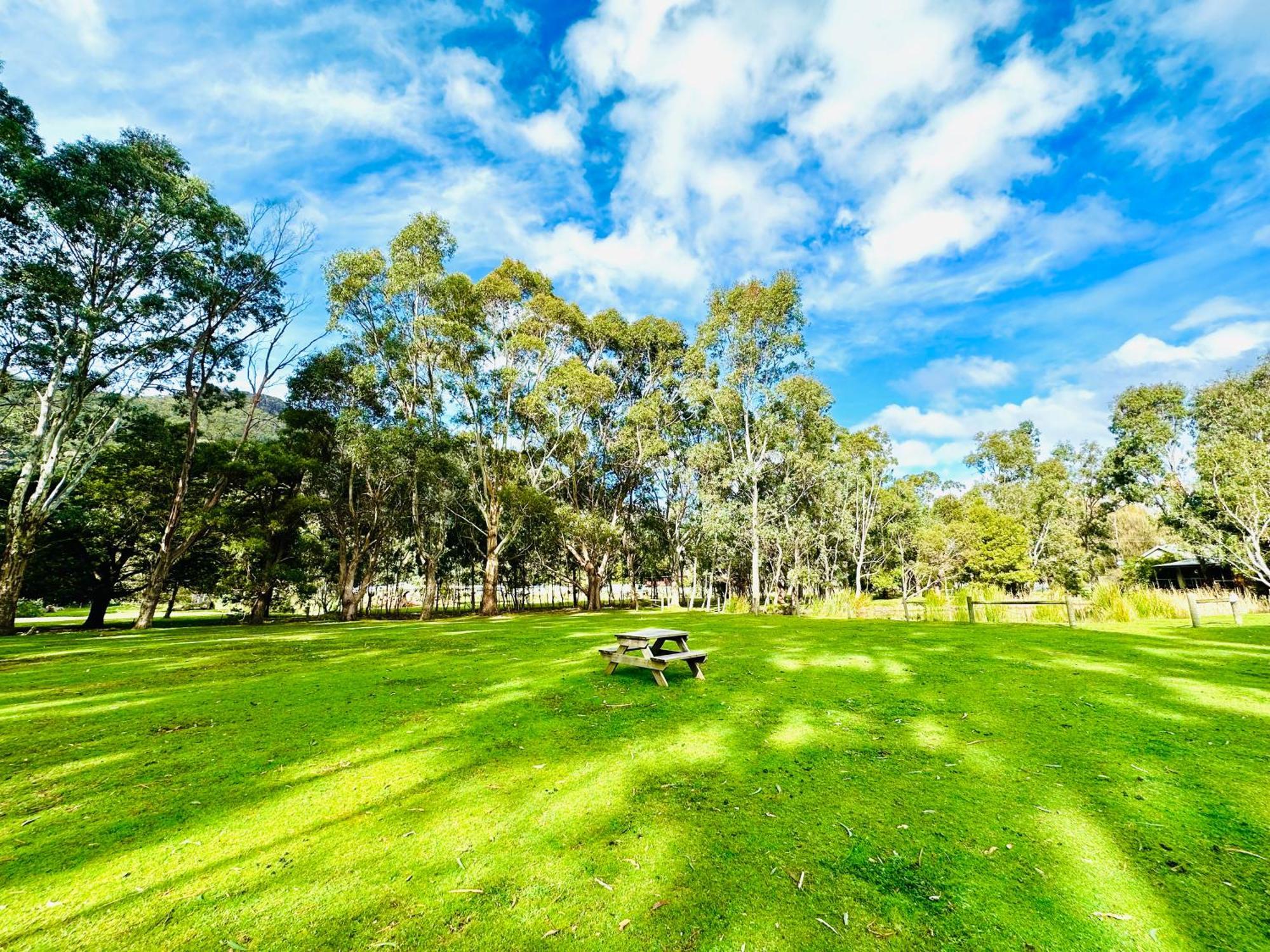 Grampians * Halls Gap